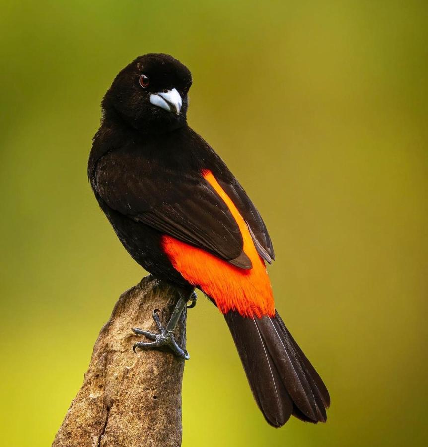Casita El Sonido De Las Aves 우비타 외부 사진